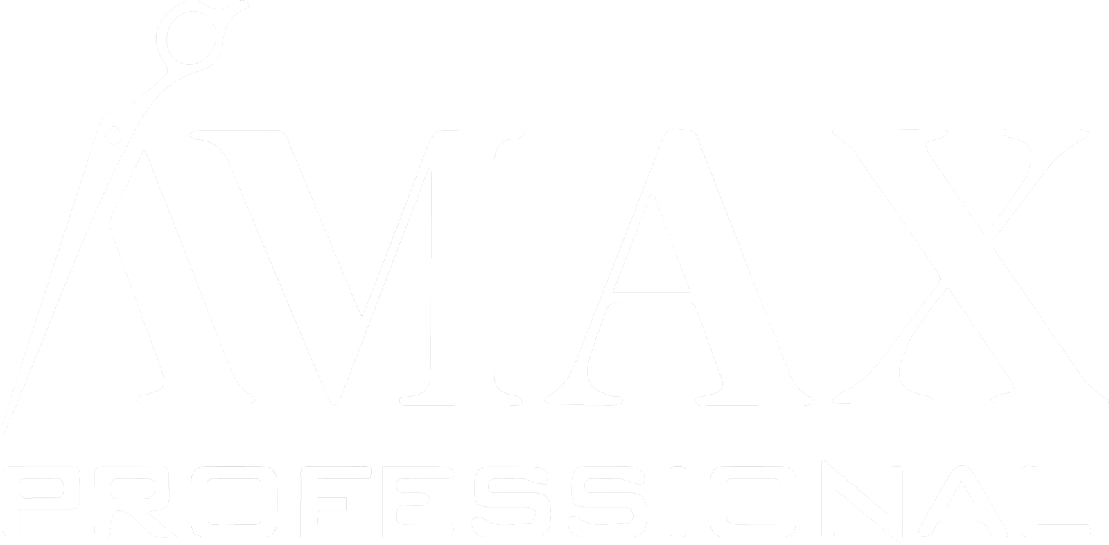 Amax Professional Logo